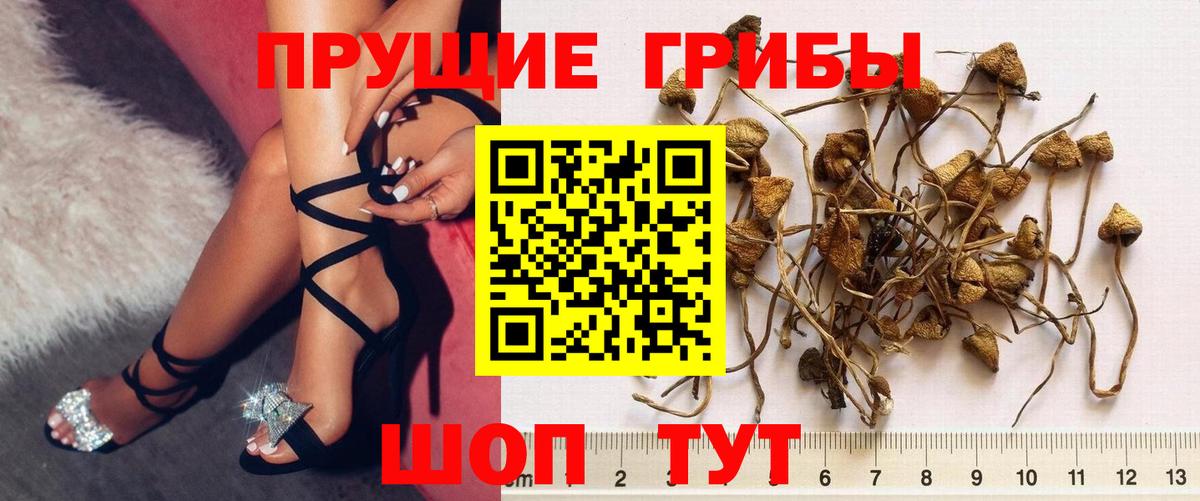 Галлюциногенные грибы Magic Shrooms  Вход с VPN  Галлюциногенные грибы мухоморы  Советский 